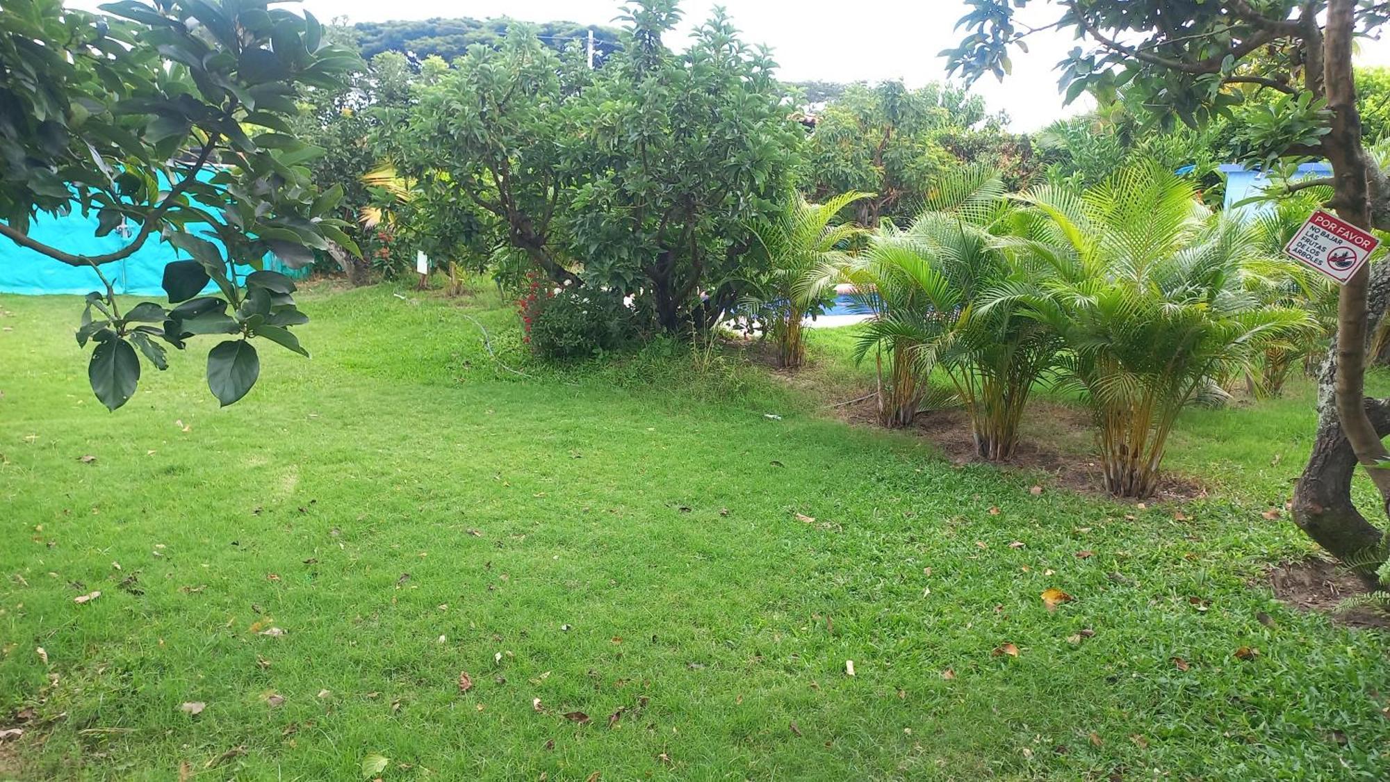 Las Orquideas Rozo Exterior photo